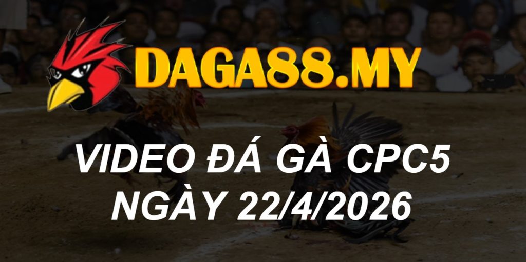 VIDEO GÀ CPC5 NGÀY 22/4/2026