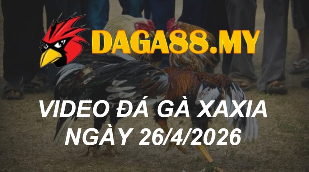Video Xà Xía ngày 26/04/2026